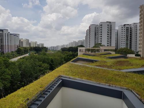 Pungol 3