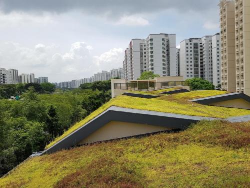 Pungol 2