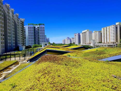 Pungol 1