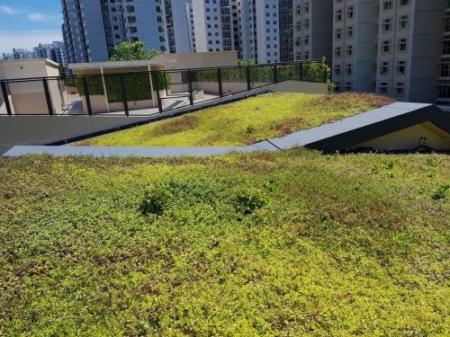 Pungol 5