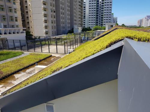 Pungol 4