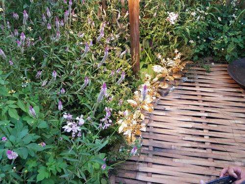 Bamboo bridge flanked by flowering shrubs