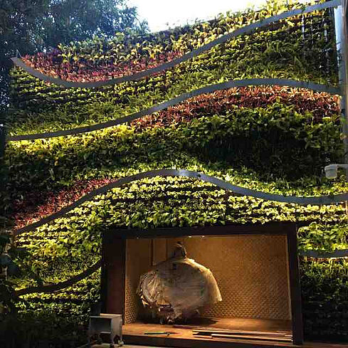 External Vertical Gardens