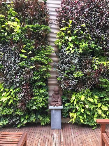 External Vertical Gardens